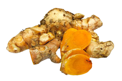 <b><i> Curcuma Xanthorrhiza Rhizoma </i> / Temulawak </b>