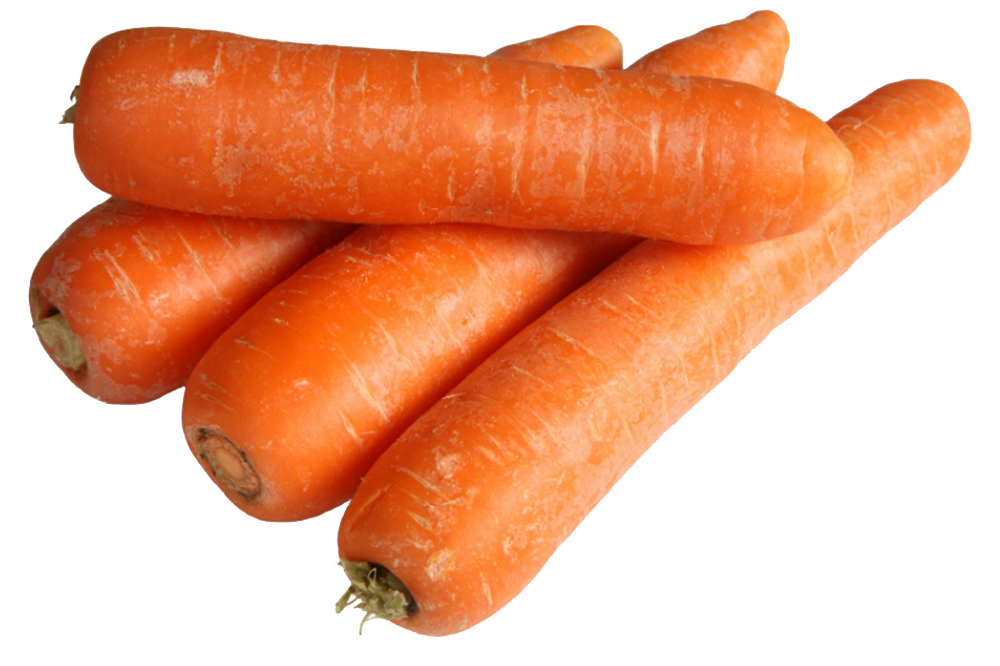 Daucus Carota Tuber Estrak 125mg <b>(Wortel) </b>